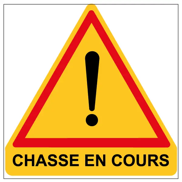Intervention de chasseurs pour destructions des pigeons ramiers