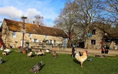 La ferme du Bel Air est sauvée !