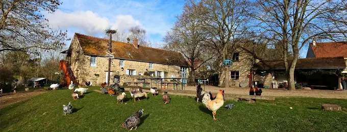 La ferme du Bel Air est sauvée !