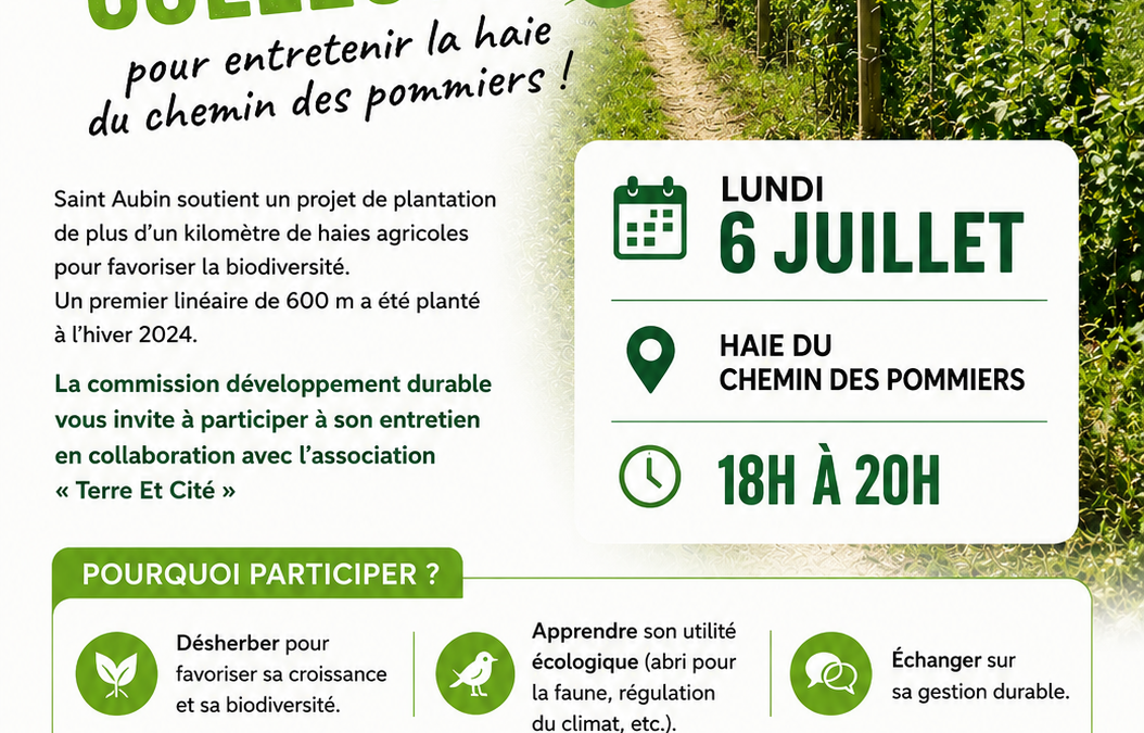DÉSHERBAGE CHEMIN DES POMMIERS