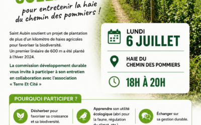 DÉSHERBAGE CHEMIN DES POMMIERS