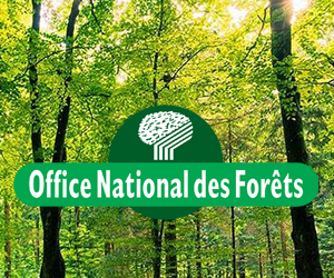 FERMETURE DE LA FORET DU 7 AU 15 JUILLET