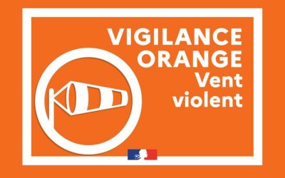 Vigilance orange vent violent